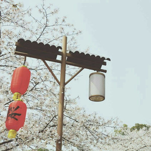 成人男女18免费o
